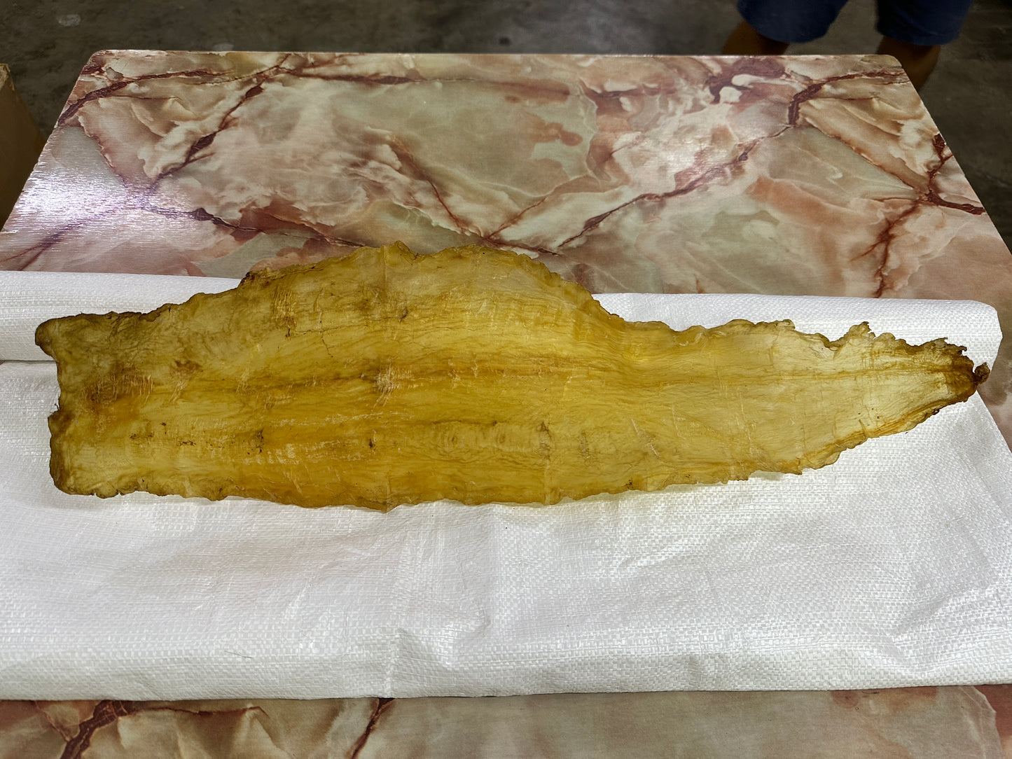 长尾柳(双牙胶)350克以上