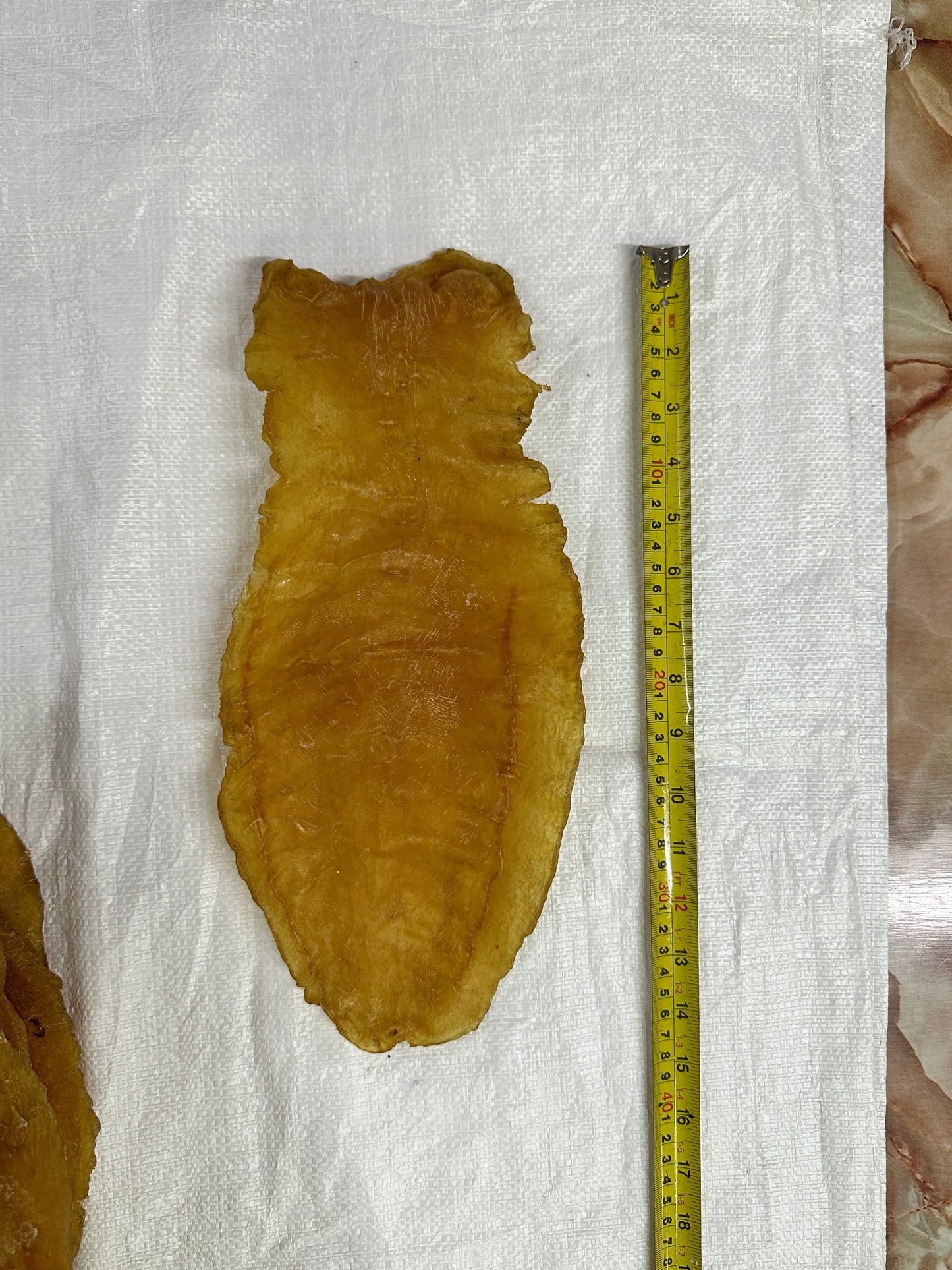 老货赤嘴纹鱼胶,共33片