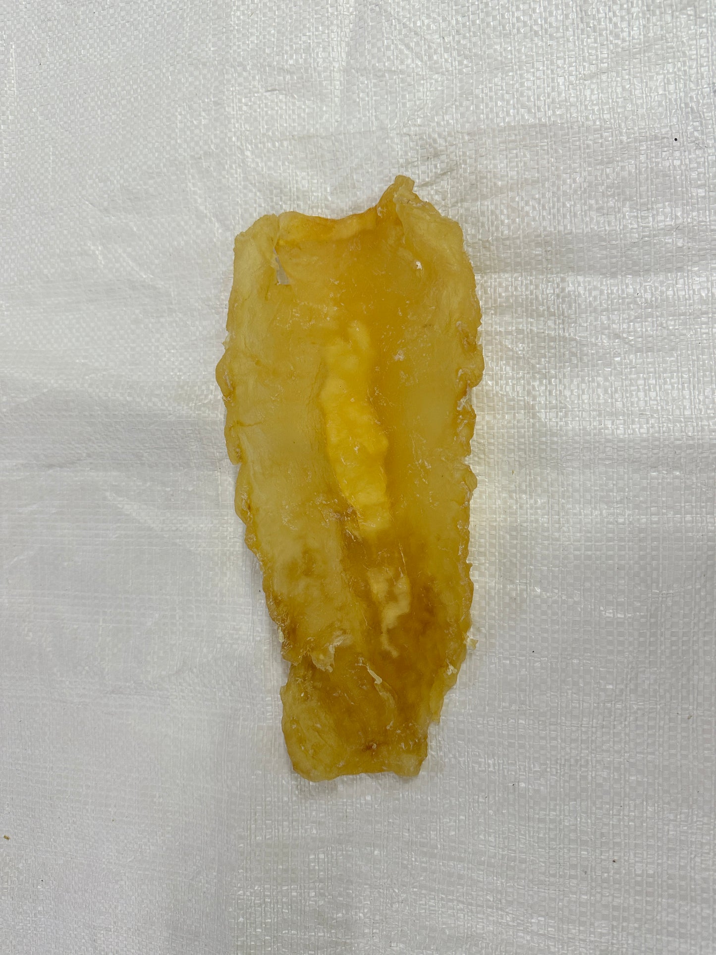 新西兰花胶200克以上