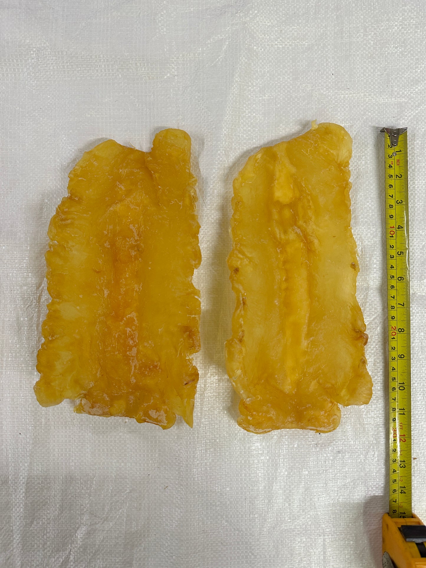 新西兰花胶250克以上,共36片