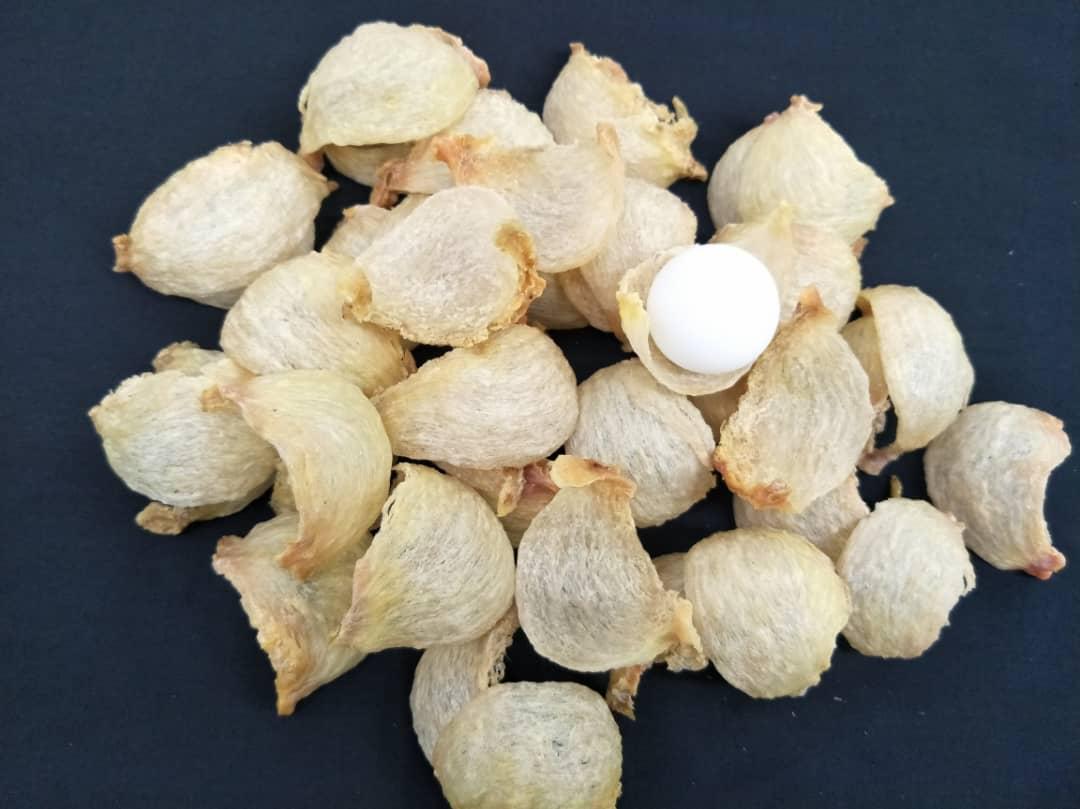 沙巴洞燕盏