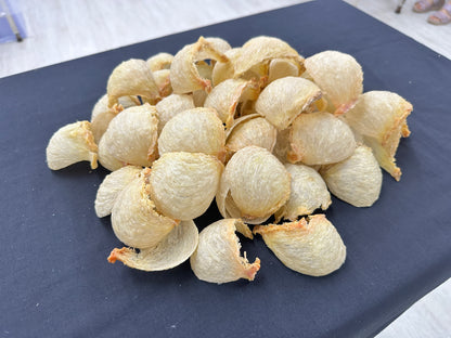 沙巴洞燕盏