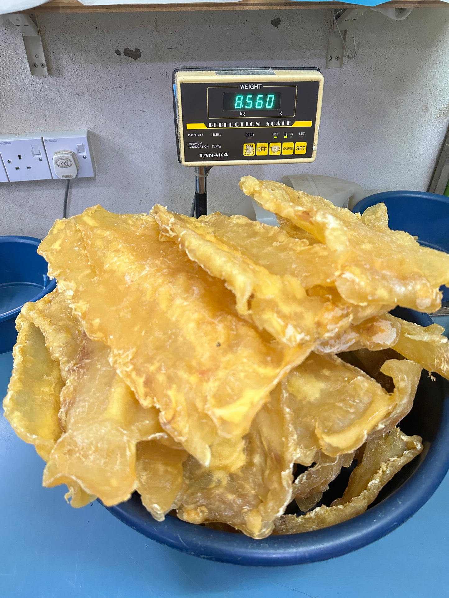 新西兰花胶300克以上，共69片