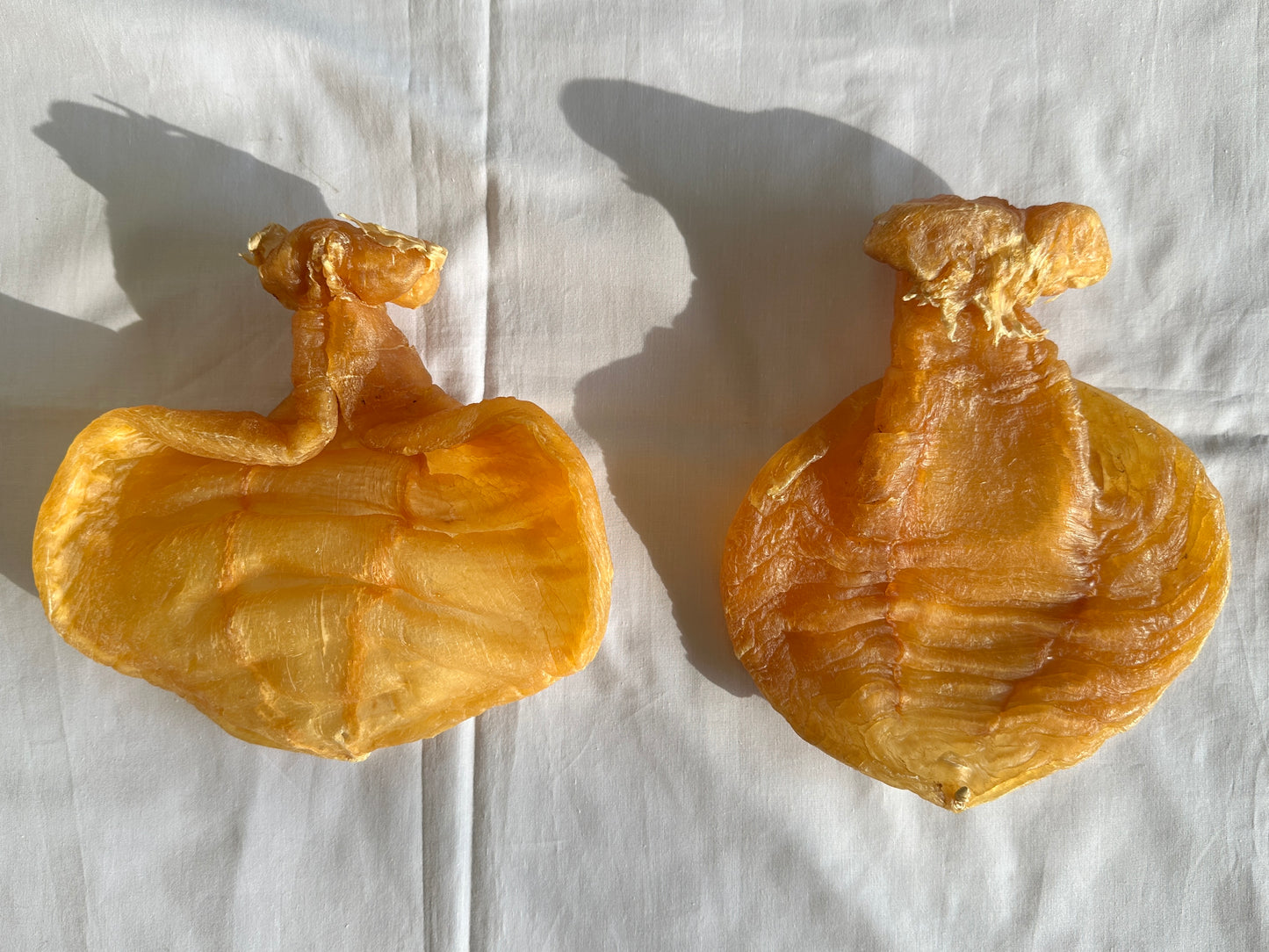 老货大石肚，两对