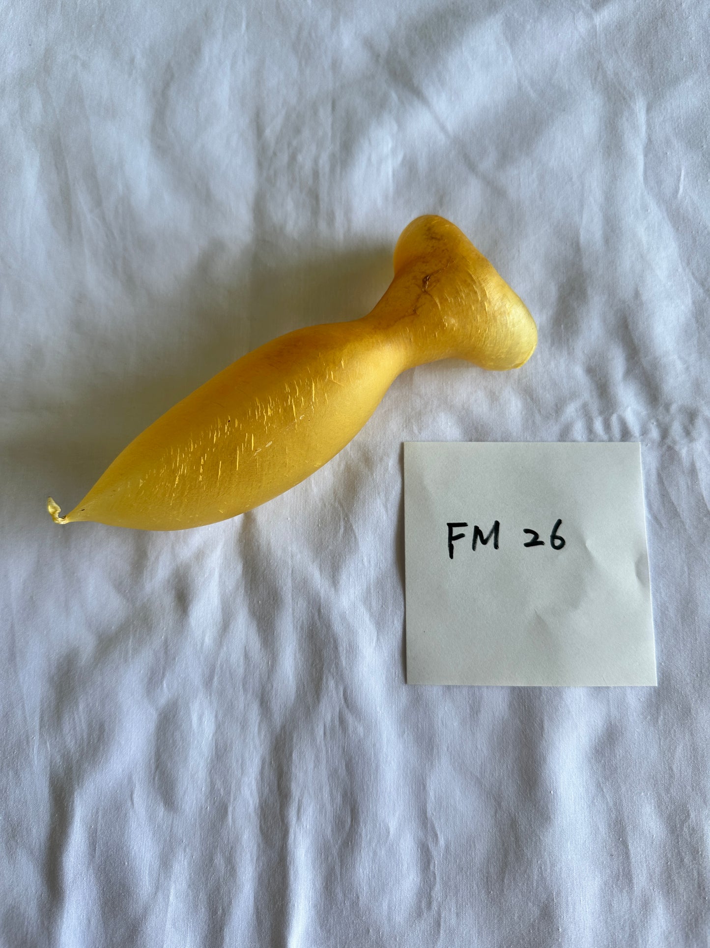 蜘蛛胶公肚26克